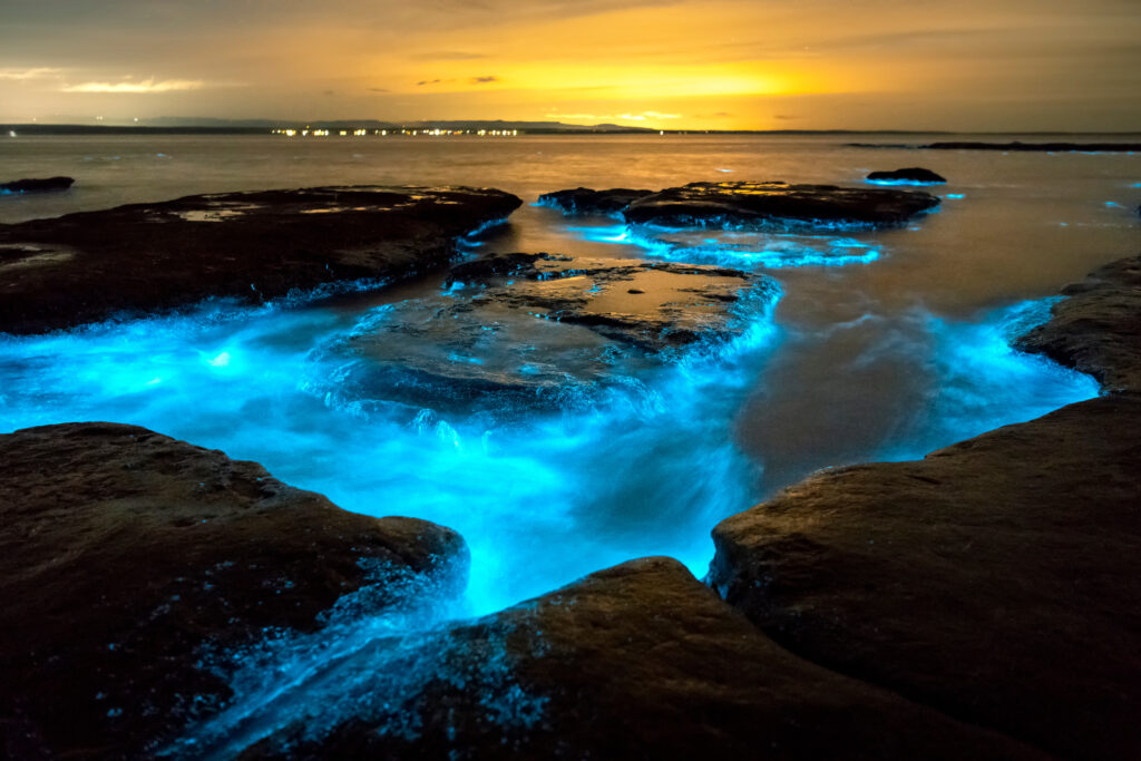 Bioluminescence in Jervis Bay in Australia