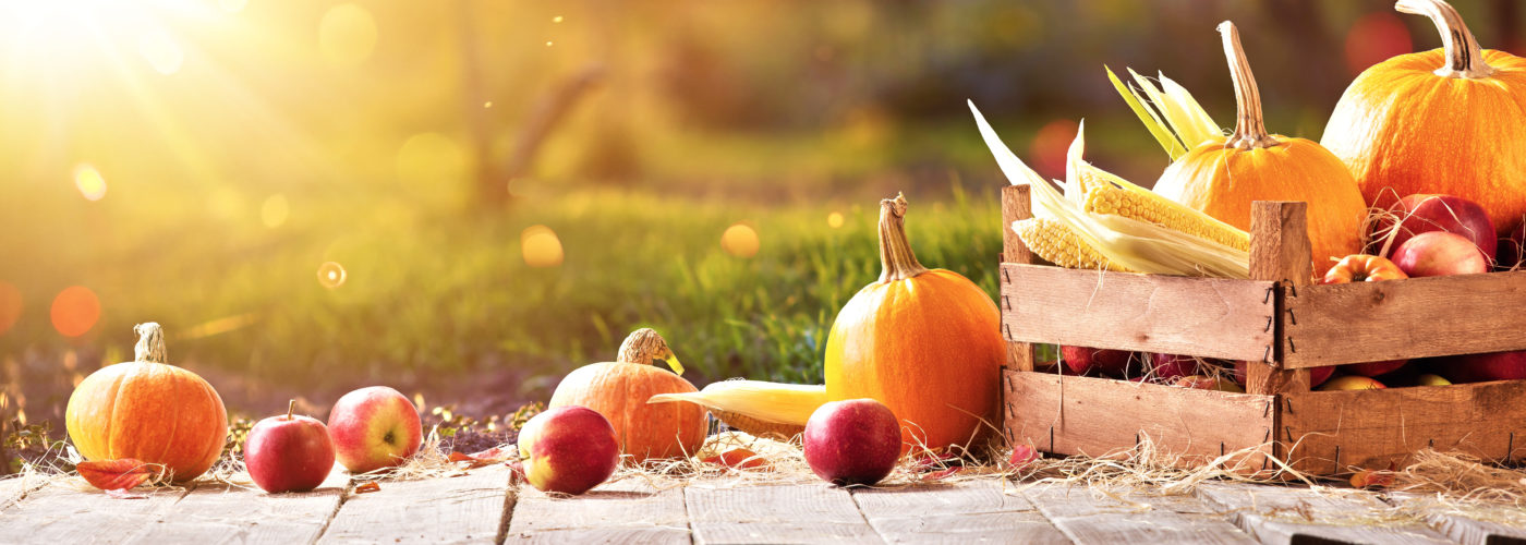 Wooden crate of corn, pumpkins, and apples on a sunny day