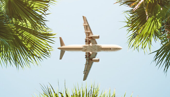 Airplane flying over palm trees