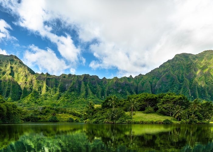 garden and mountains in oahu