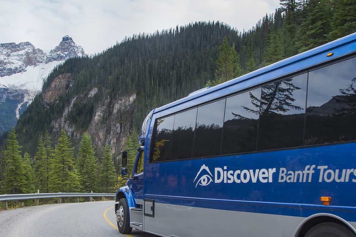 Discover Banff Tours bus stopped on a road in front of a vista of forest and mountains